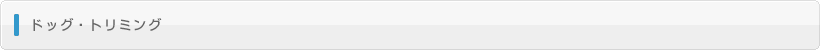 ドッグ・トリミング
